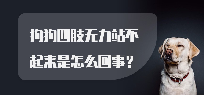 狗狗四肢无力站不起来是怎么回事？