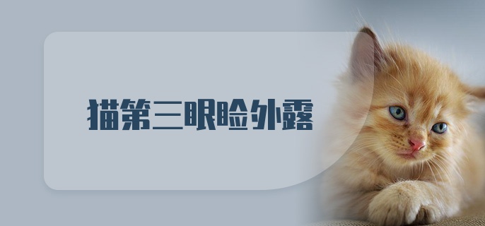 猫第三眼睑外露