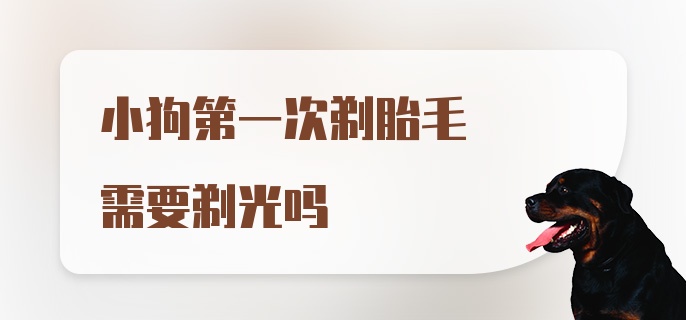 小狗第一次剃胎毛需要剃光吗