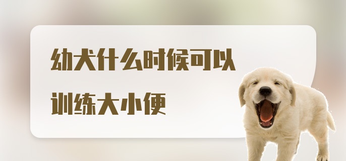 幼犬什么时候可以训练大小便