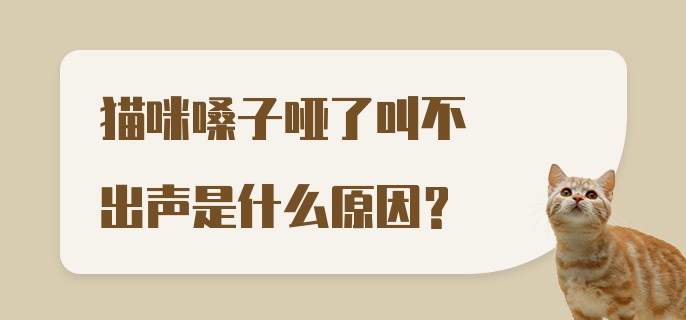 猫咪嗓子哑了叫不出声是什么原因？