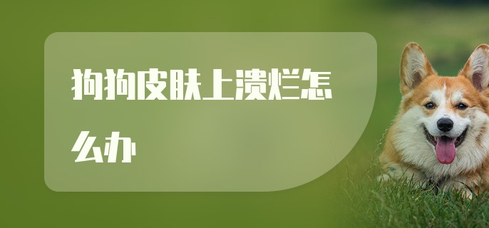 狗狗皮肤上溃烂怎么办