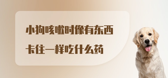 小狗咳嗽时像有东西卡住一样吃什么药