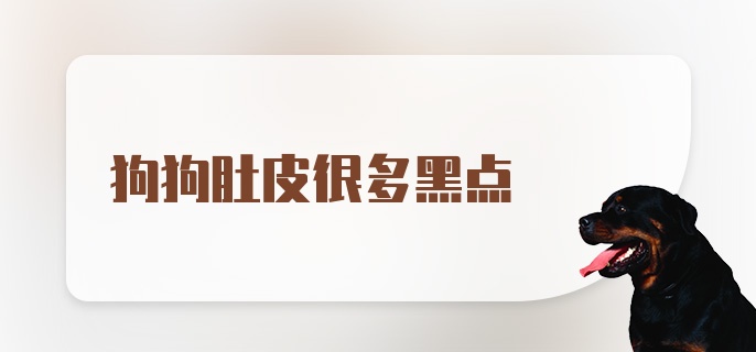 狗狗肚皮很多黑点