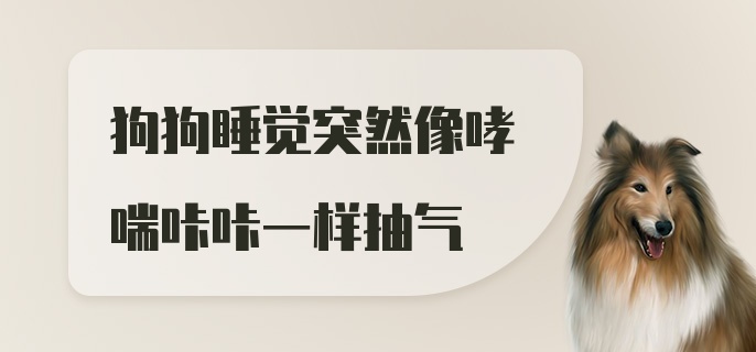 狗狗睡觉突然像哮喘咔咔一样抽气