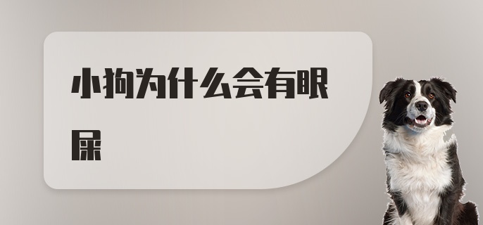 小狗为什么会有眼屎