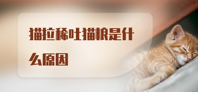 猫拉稀吐猫粮是什么原因