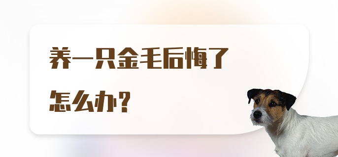 养一只金毛后悔了怎么办？