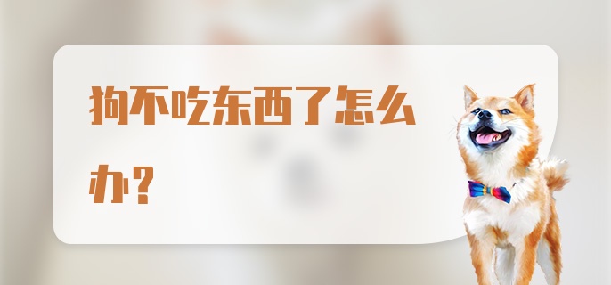 狗不吃东西了怎么办？