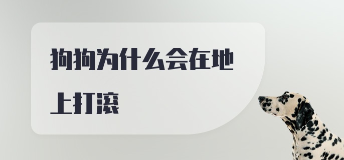 狗狗为什么会在地上打滚