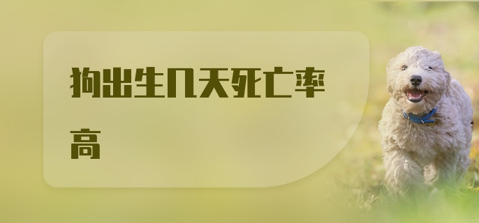 狗出生几天死亡率高