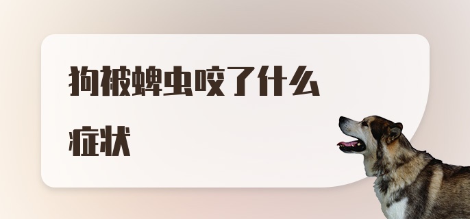 狗被蜱虫咬了什么症状