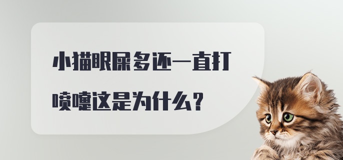 小猫眼屎多还一直打喷嚏这是为什么？