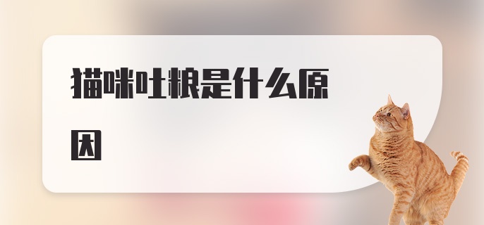 猫咪吐粮是什么原因