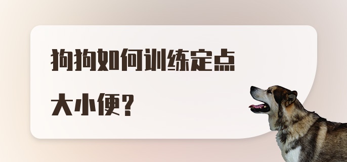 狗狗如何训练定点大小便?