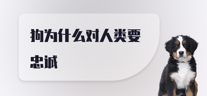 狗为什么对人类要忠诚