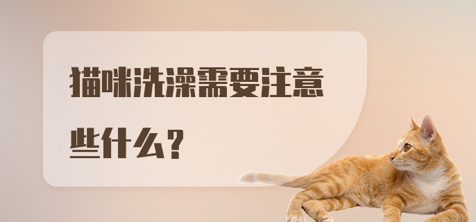 猫咪洗澡需要注意些什么？