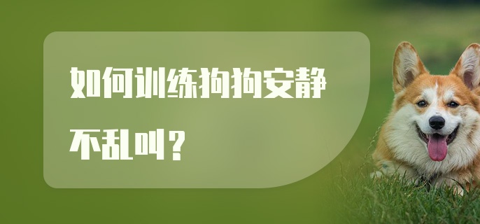 如何训练狗狗安静不乱叫？