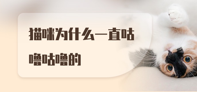 猫咪为什么一直咕噜咕噜的