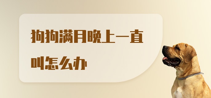 狗狗满月晚上一直叫怎么办