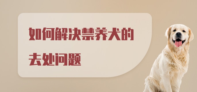 如何解决禁养犬的去处问题