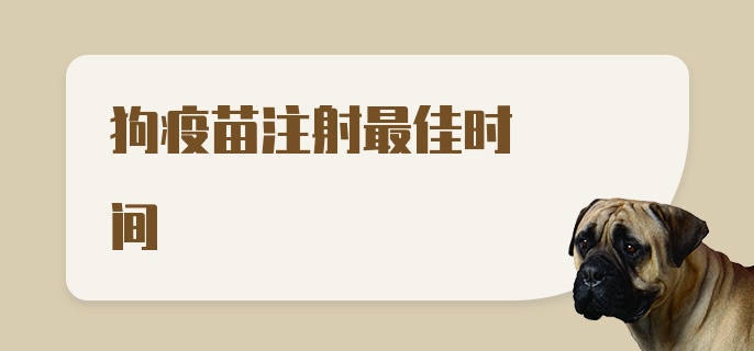 狗疫苗注射最佳时间