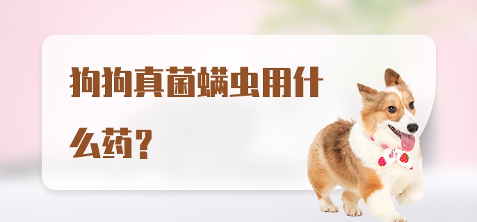 狗狗真菌螨虫用什么药？