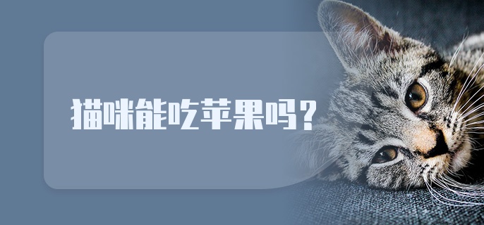 猫咪能吃苹果吗？