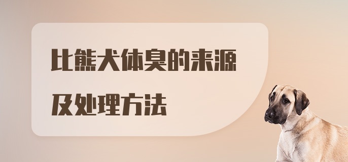 比熊犬体臭的来源及处理方法