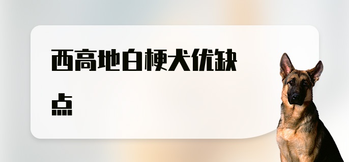 西高地白梗犬优缺点