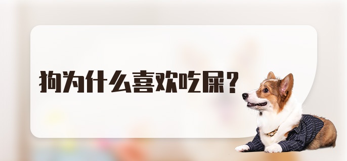 狗为什么喜欢吃屎？