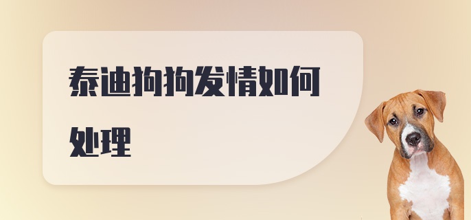 泰迪狗狗发情如何处理