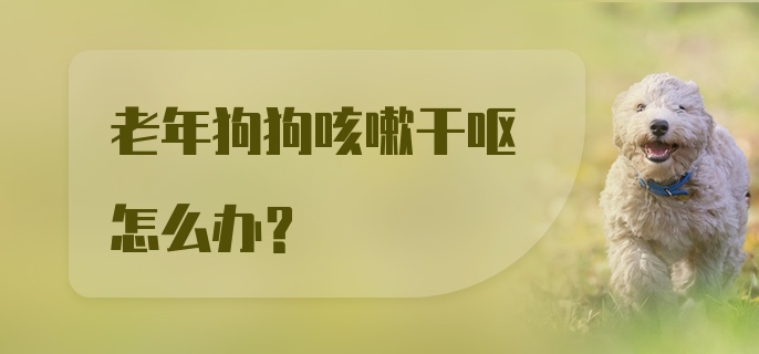 老年狗狗咳嗽干呕怎么办？