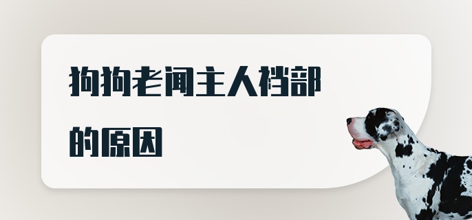 狗狗老闻主人裆部的原因