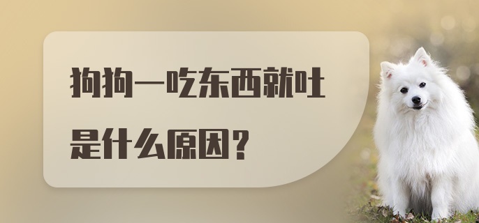 狗狗一吃东西就吐是什么原因？