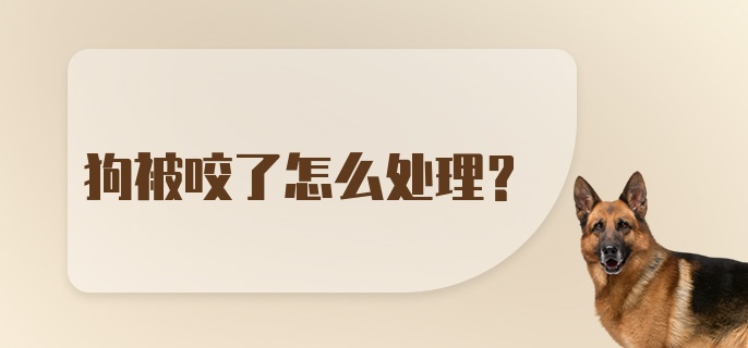 狗被咬了怎么处理？