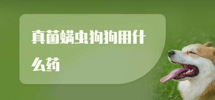 真菌螨虫狗狗用什么药