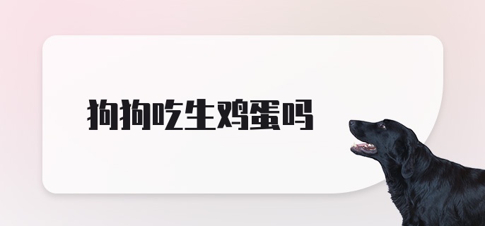 狗狗吃生鸡蛋吗