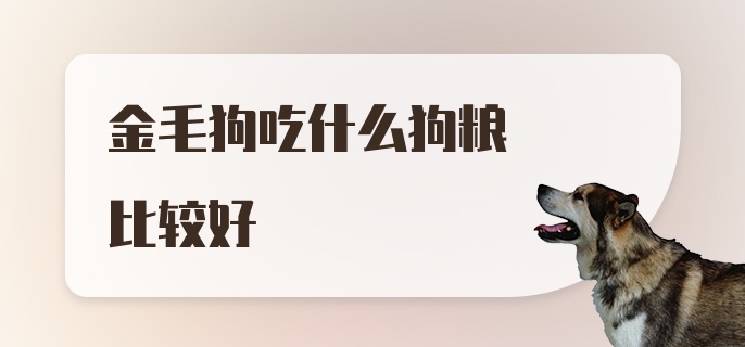 金毛狗吃什么狗粮比较好