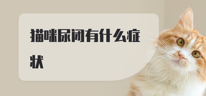 猫咪尿闭有什么症状