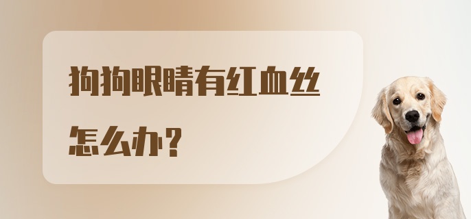 狗狗眼睛有红血丝怎么办?