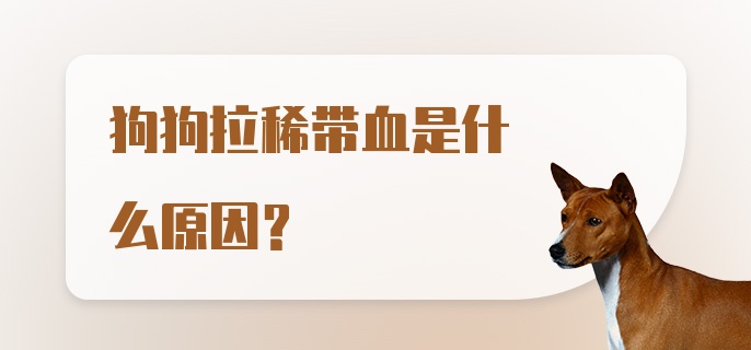 狗狗拉稀带血是什么原因？