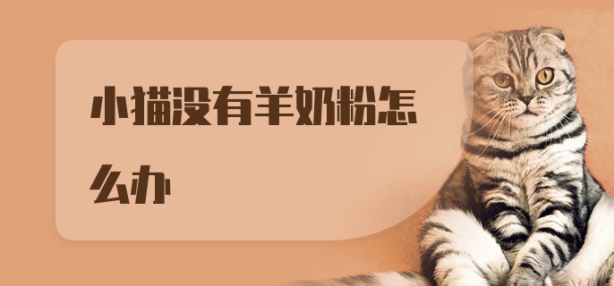 小猫没有羊奶粉怎么办