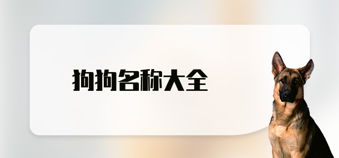 狗狗名称大全