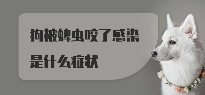 狗被蜱虫咬了感染是什么症状