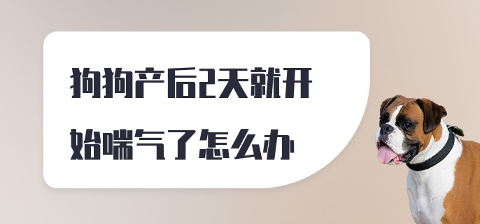 狗狗产后2天就开始喘气了怎么办