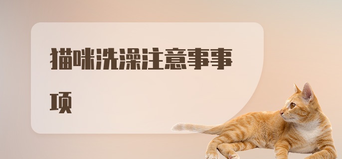 猫咪洗澡注意事事项