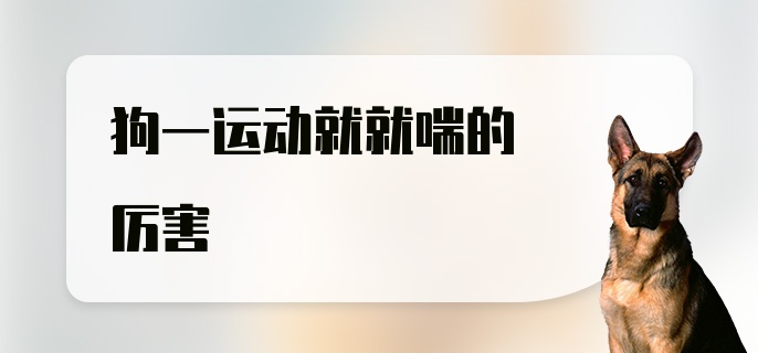 狗一运动就就喘的厉害