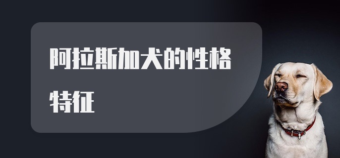 阿拉斯加犬的性格特征