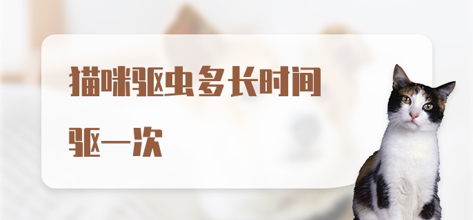 猫咪驱虫多长时间驱一次